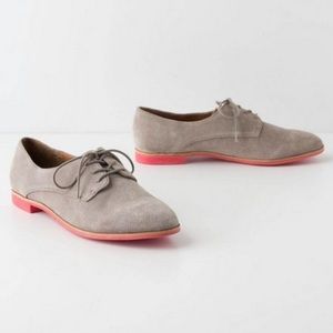 Dolce vita grey/red suede oxfords